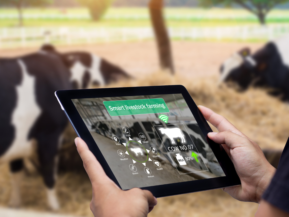 How high-tech silage films are shaping the future of sustainable farming