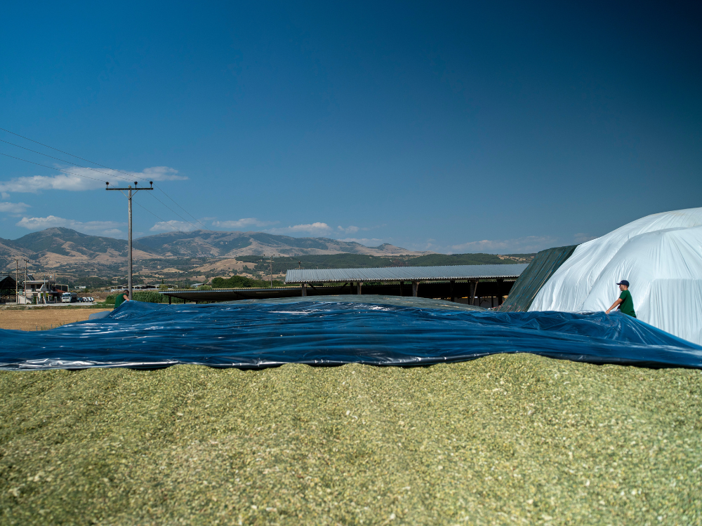 Best Practices for Effective Silage Management