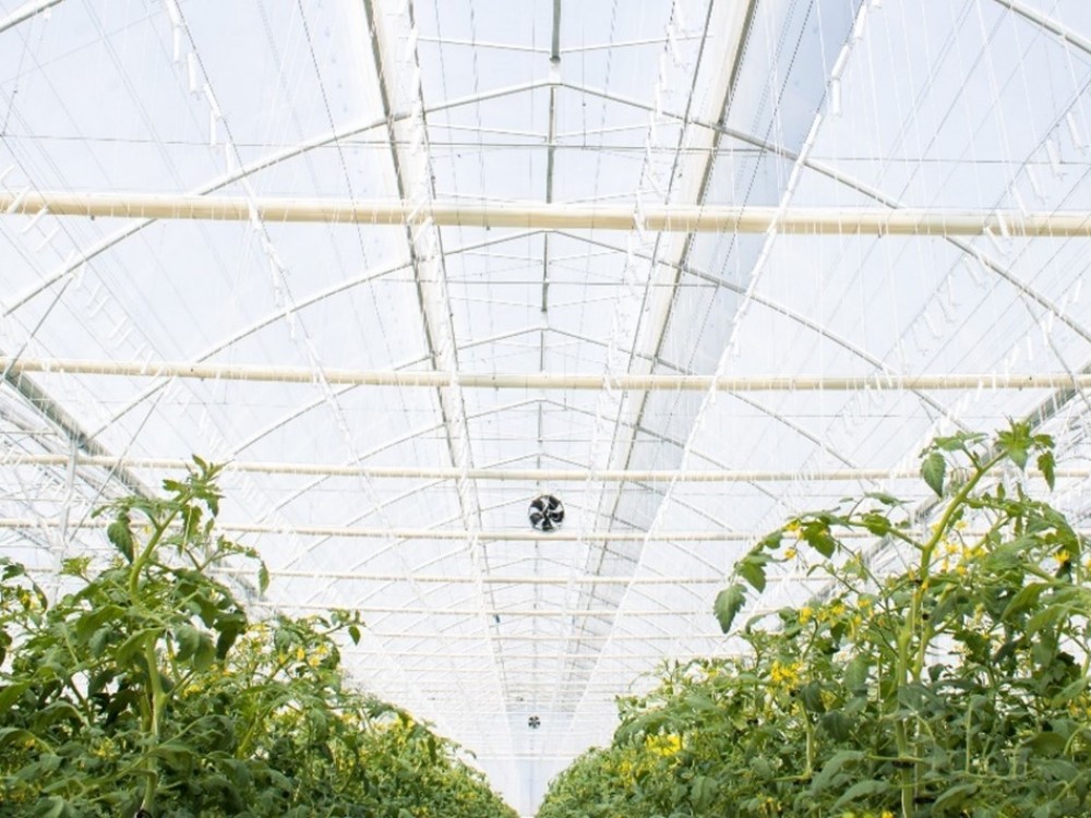 Plastika Kritis 2025 new greenhouse film launches Plastika Kritis 2025 new greenhouse film launches