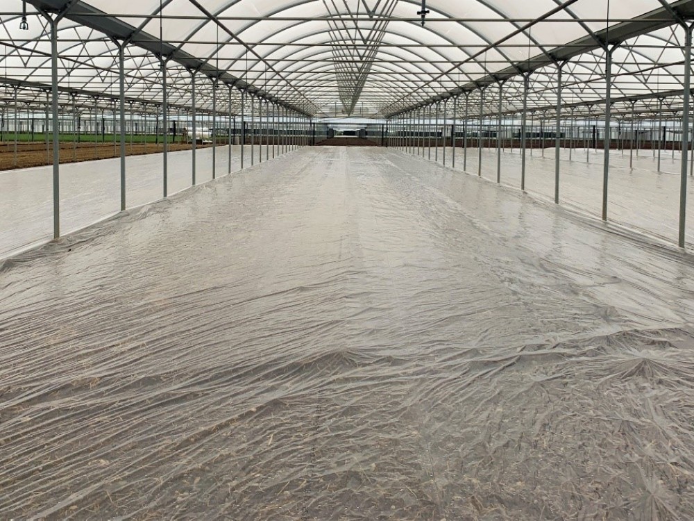 Soil Disinfection with TIF: An Efficient, Cost-Effective, and Sustainable Solution for Agriculture Soil Disinfection with TIF: An Efficient, Cost-Effective, and Sustainable Solution for Agriculture